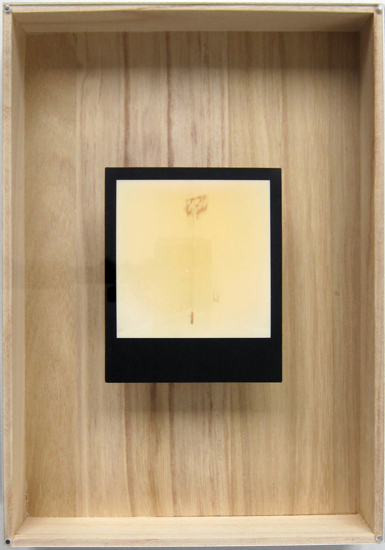 Void 2011