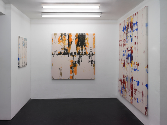Installation View 2019