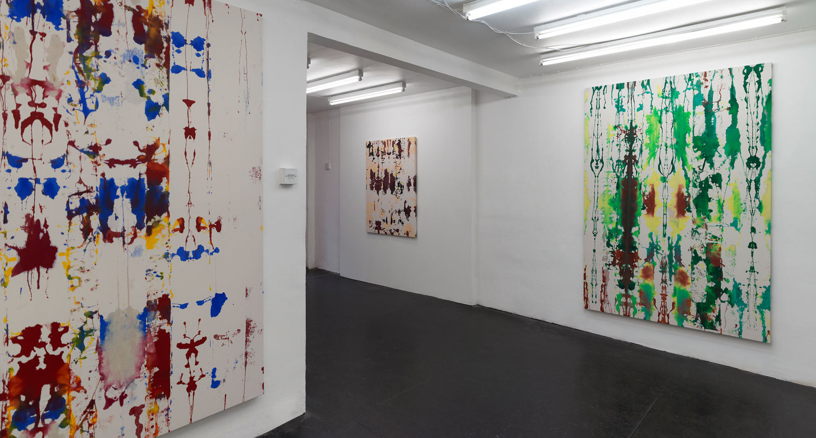 Installation View 2019