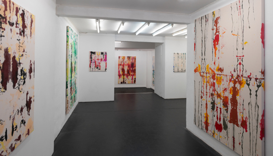 Installation View 2019